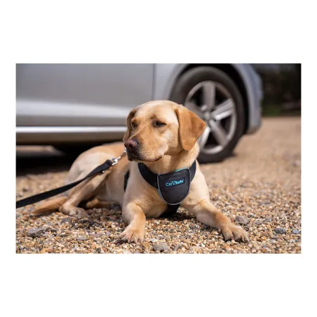 Šuns pakinktai Company of Animals CarSafe Juoda L